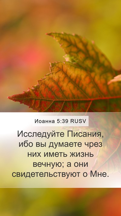 Иоанна 5:39 RUSV Bible Verse Image