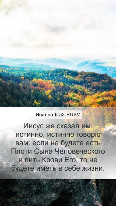 Иоанна 6:53 RUSV Bible Verse Image