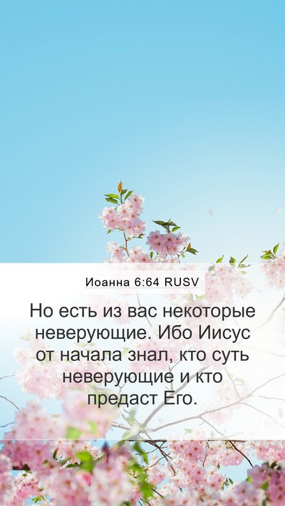 Иоанна 6:64 RUSV Bible Verse Image