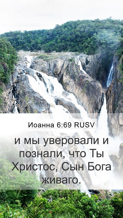 Иоанна 6:69 RUSV Bible Verse Image