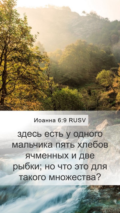 Иоанна 6:9 RUSV Bible Verse Image