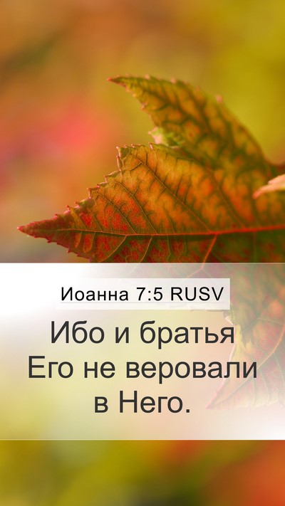 Иоанна 7:5 RUSV Bible Verse Image
