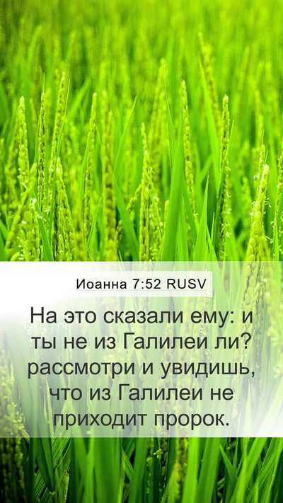 Иоанна 7:52 RUSV Bible Verse Image