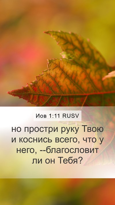 Иов 1:11 RUSV Bible Verse Image