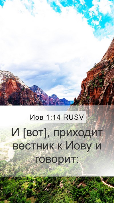 Иов 1:14 RUSV Bible Verse Image