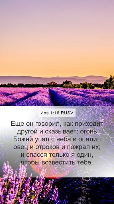 Иов 1:16 RUSV Bible Verse Image