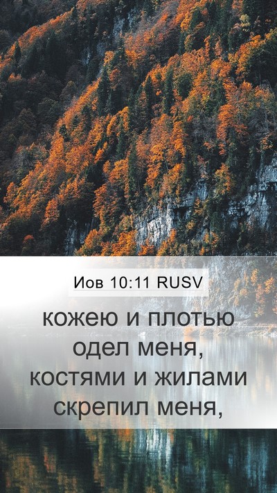 Иов 10:11 RUSV Mobile Phone Wallpaper - кожею и плотью одел меня, - Mobile Bible Verse Wallpaper