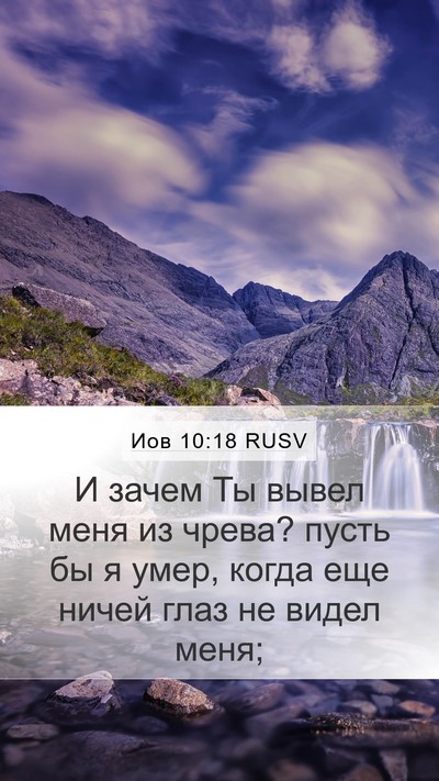 Иов 10:18 RUSV Bible Verse Image