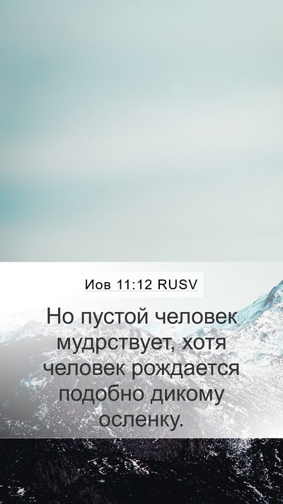 Иов 11:12 RUSV Bible Verse Image