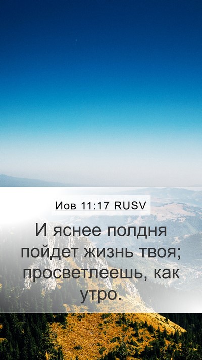 Иов 11:17 RUSV Bible Verse Image