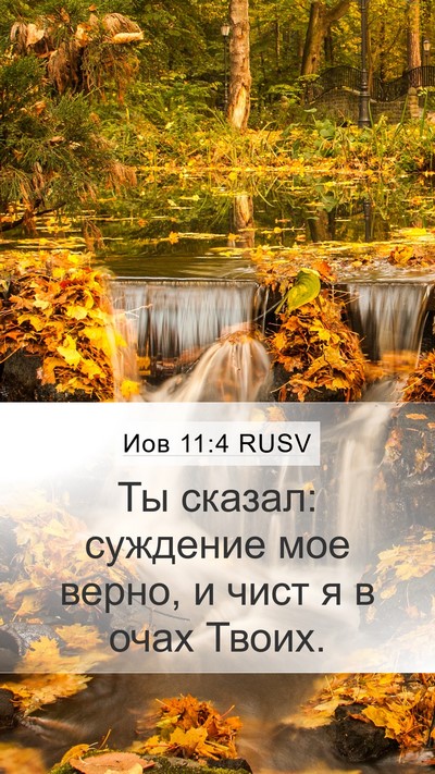 Иов 11:4 RUSV Bible Verse Image