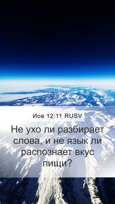 Иов 12:11 RUSV Bible Verse Image