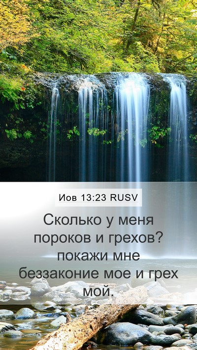 Иов 13:23 RUSV Bible Verse Image