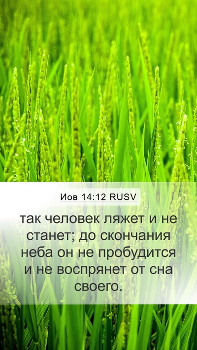 Иов 14:12 RUSV Bible Verse Image