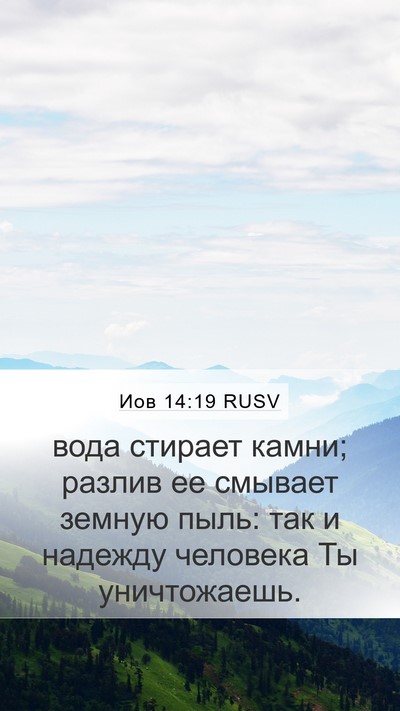 Иов 14:19 RUSV Bible Verse Image