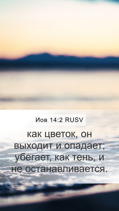Иов 14:2 RUSV Bible Verse Image