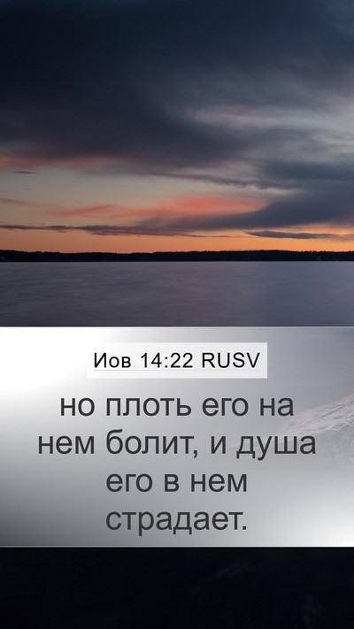 Иов 14:22 RUSV Mobile Phone Wallpaper - но плоть его на нем болит, и - Mobile Bible Verse Wallpaper