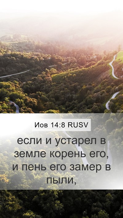 Иов 14:8 RUSV Mobile Phone Wallpaper - если и устарел в земле - Mobile Bible Verse Wallpaper