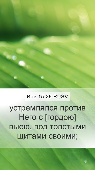 Иов 15:26 RUSV Mobile Phone Wallpaper - устремлялся против Него с - Mobile Bible Verse Wallpaper
