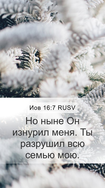 Иов 16:7 RUSV Bible Verse Image