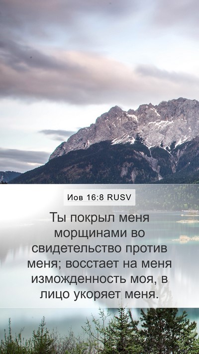 Иов 16:8 RUSV Bible Verse Image