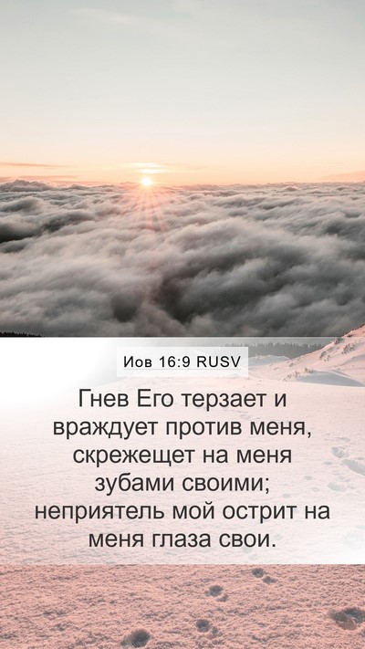Иов 16:9 RUSV Bible Verse Image