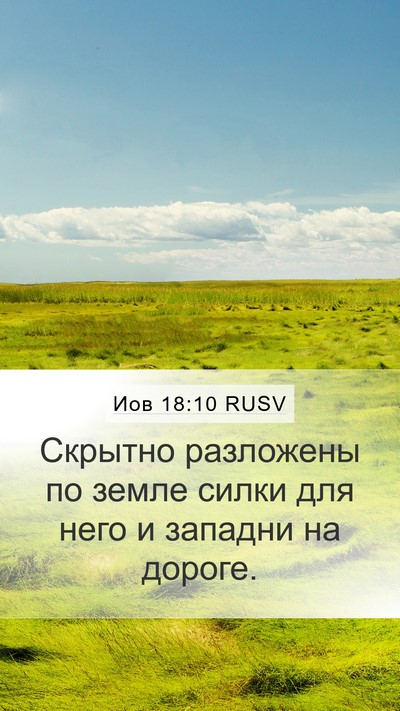 Иов 18:10 RUSV Mobile Phone Wallpaper - Скрытно разложены по земле - Mobile Bible Verse Wallpaper