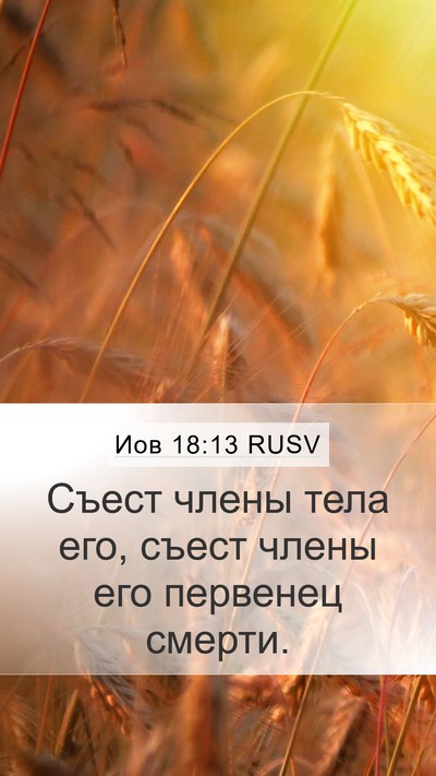 Иов 18:13 RUSV Bible Verse Image