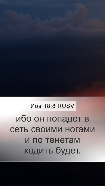 Иов 18:8 RUSV Bible Verse Image