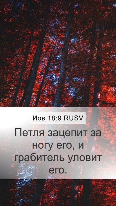 Иов 18:9 RUSV Bible Verse Image
