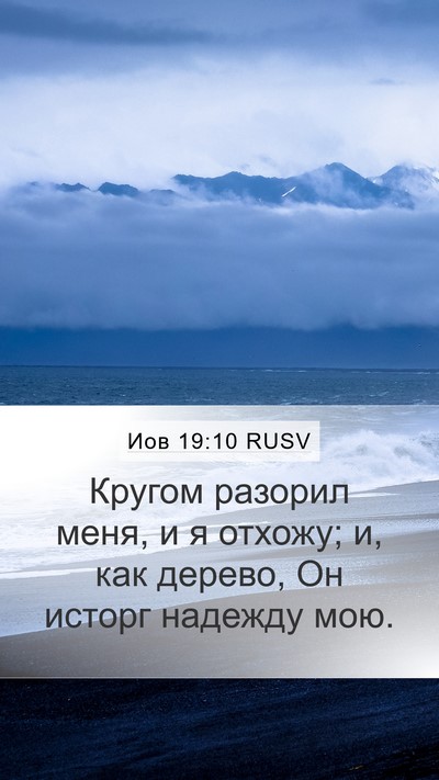 Иов 19:10 RUSV Bible Verse Image