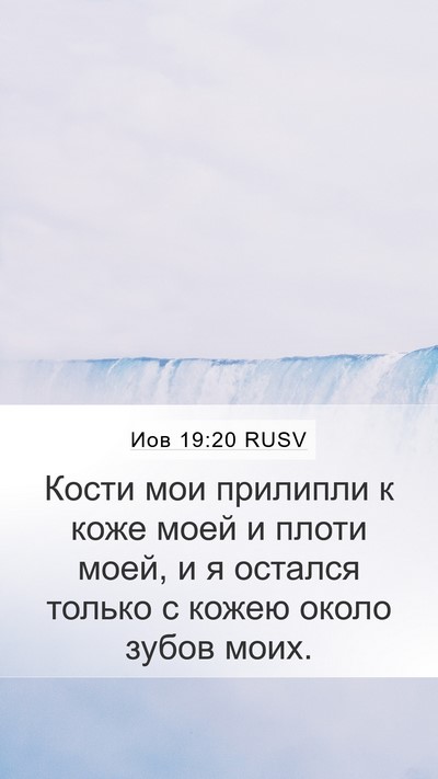 Иов 19:20 RUSV Bible Verse Image