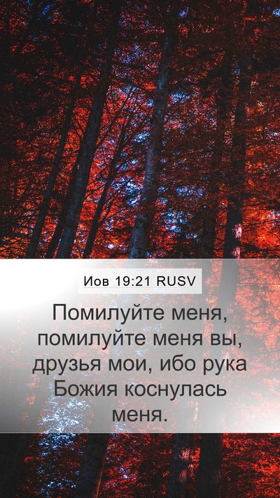 Иов 19:21 RUSV Bible Verse Image
