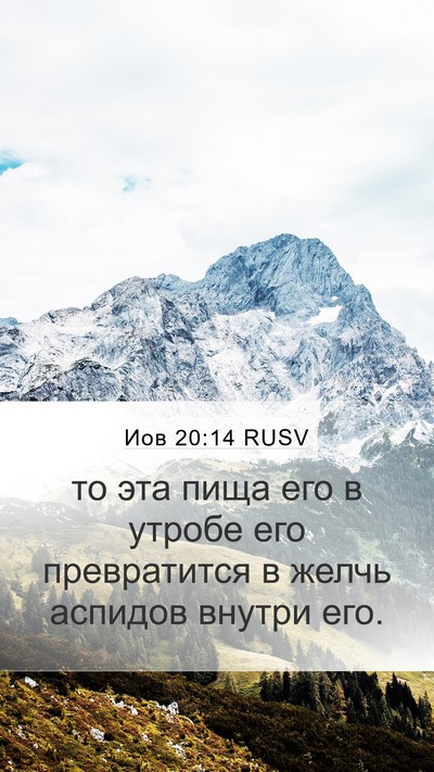 Иов 20:14 RUSV Bible Verse Image