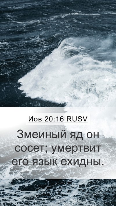 Иов 20:16 RUSV Bible Verse Image