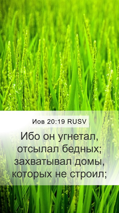 Иов 20:19 RUSV Bible Verse Image
