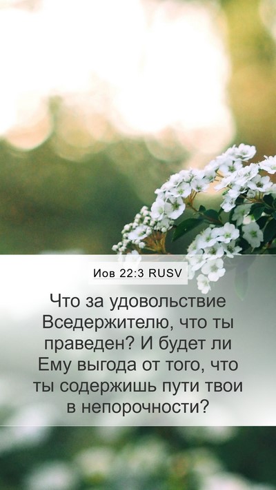 Иов 22:3 RUSV Mobile Phone Wallpaper - Что за удовольствие - Mobile Bible Verse Wallpaper