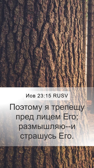 Иов 23:15 RUSV Bible Verse Image