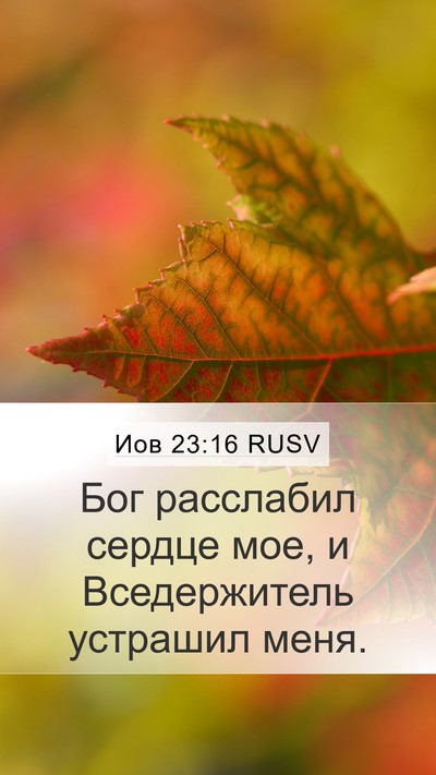 Иов 23:16 RUSV Bible Verse Image