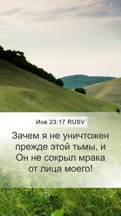 Иов 23:17 RUSV Mobile Phone Wallpaper - Зачем я не уничтожен - Mobile Bible Verse Wallpaper