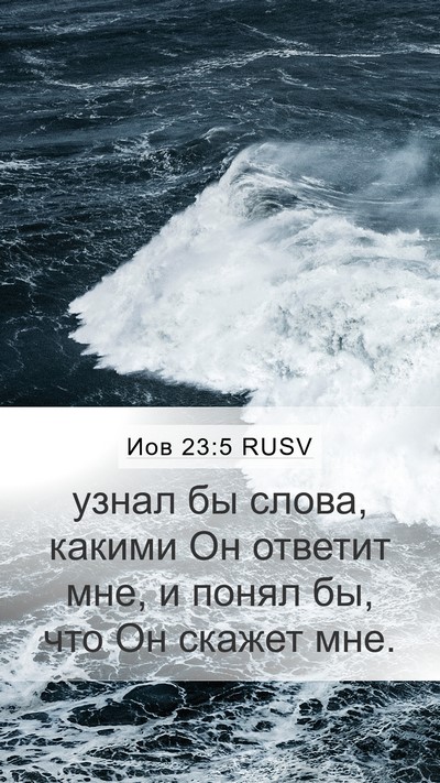 Иов 23:5 RUSV Bible Verse Image