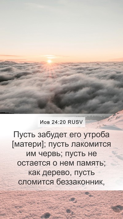 Иов 24:20 RUSV Bible Verse Image
