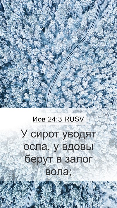 Иов 24:3 RUSV Bible Verse Image