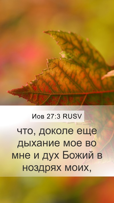 Иов 27:3 RUSV Bible Verse Image