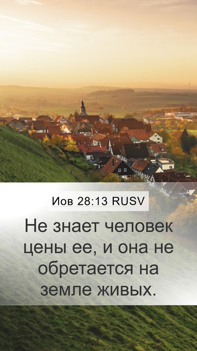 Иов 28:13 RUSV Bible Verse Image