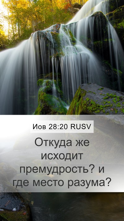 Иов 28:20 RUSV Bible Verse Image
