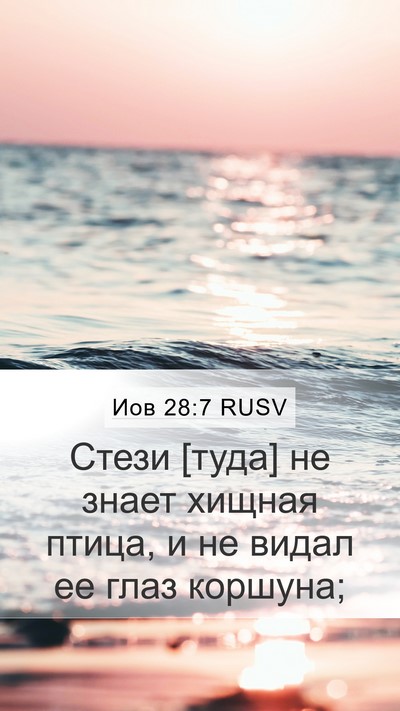 Иов 28:7 RUSV Bible Verse Image