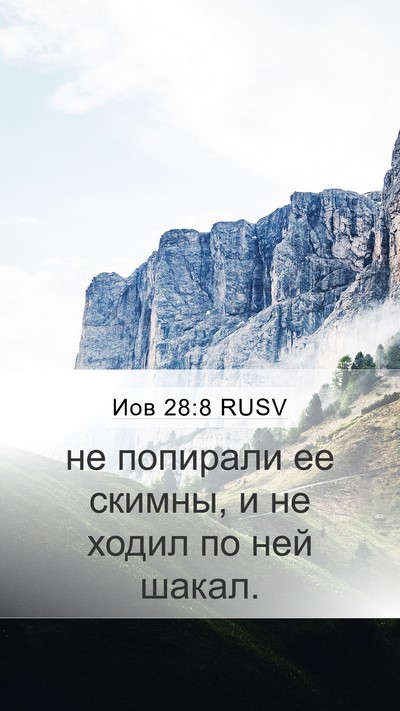Иов 28:8 RUSV Mobile Phone Wallpaper - не попирали ее скимны, и не - Mobile Bible Verse Wallpaper