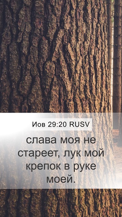 Иов 29:20 RUSV Bible Verse Image