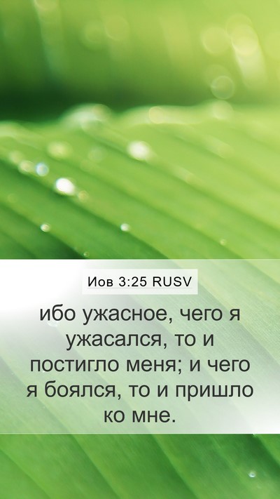 Иов 3:25 RUSV Bible Verse Image